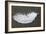 Feather-Georgette Douwma-Framed Photographic Print