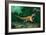 Feathered Dinosaurs-Chris Butler-Framed Photographic Print