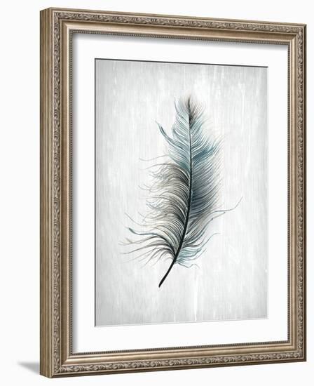 Feathered Dreams 1-Kimberly Allen-Framed Art Print