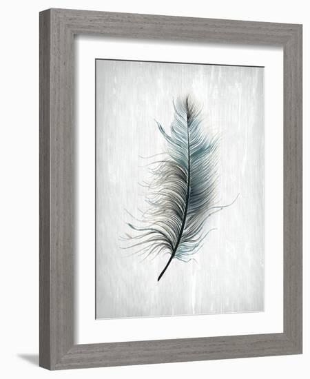 Feathered Dreams 1-Kimberly Allen-Framed Art Print