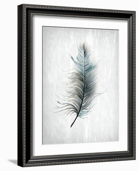 Feathered Dreams 1-Kimberly Allen-Framed Art Print