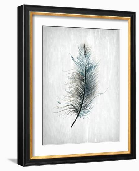 Feathered Dreams 1-Kimberly Allen-Framed Art Print