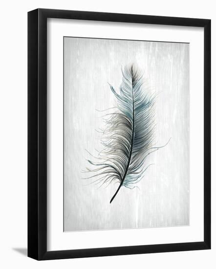 Feathered Dreams 1-Kimberly Allen-Framed Art Print