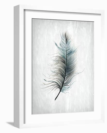 Feathered Dreams 1-Kimberly Allen-Framed Art Print