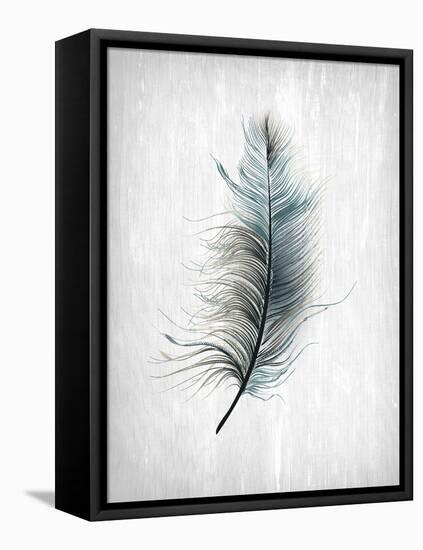 Feathered Dreams 1-Kimberly Allen-Framed Stretched Canvas