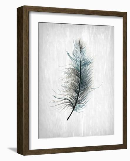 Feathered Dreams 1-Kimberly Allen-Framed Art Print