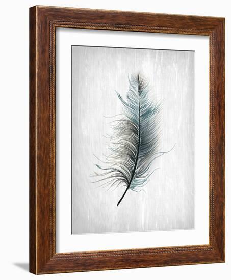 Feathered Dreams 1-Kimberly Allen-Framed Art Print