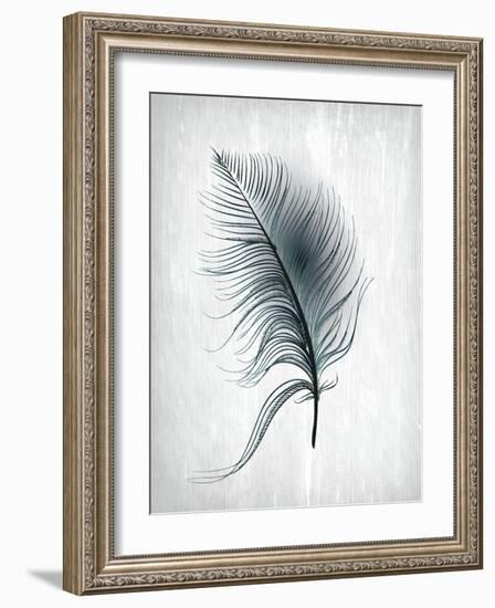 Feathered Dreams 3-Kimberly Allen-Framed Art Print