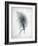 Feathered Dreams 3-Kimberly Allen-Framed Art Print