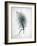 Feathered Dreams 3-Kimberly Allen-Framed Art Print