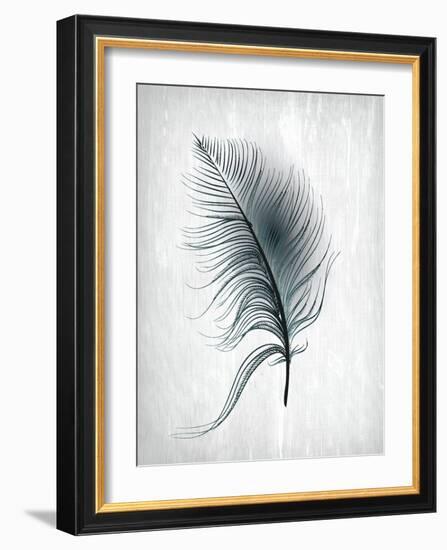 Feathered Dreams 3-Kimberly Allen-Framed Art Print