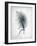 Feathered Dreams 3-Kimberly Allen-Framed Art Print