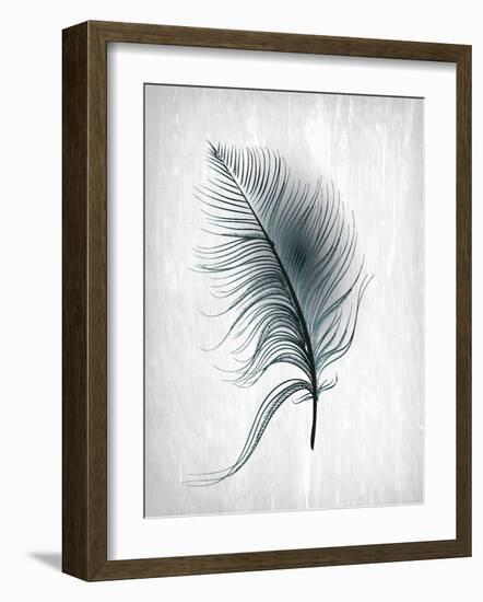 Feathered Dreams 3-Kimberly Allen-Framed Art Print