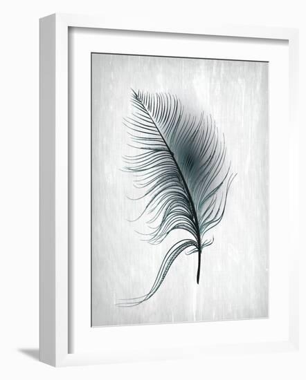 Feathered Dreams 3-Kimberly Allen-Framed Art Print