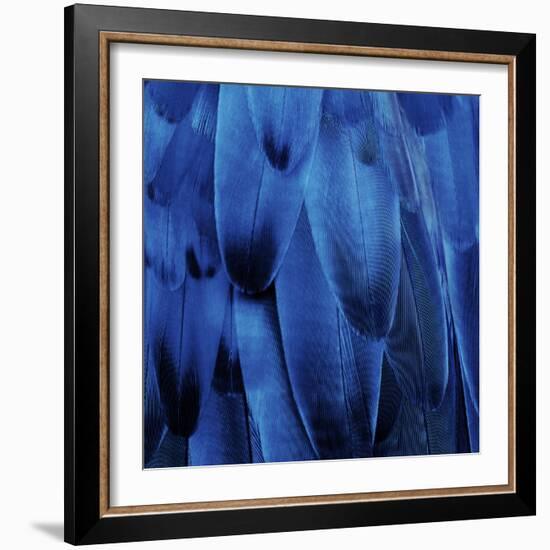 Feathered Friend - Indigo-Julia Bosco-Framed Art Print