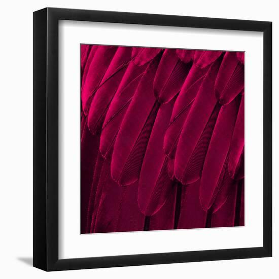 Feathered Friend - Magenta-Julia Bosco-Framed Art Print