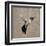 Feathered I-Anna Polanski-Framed Art Print