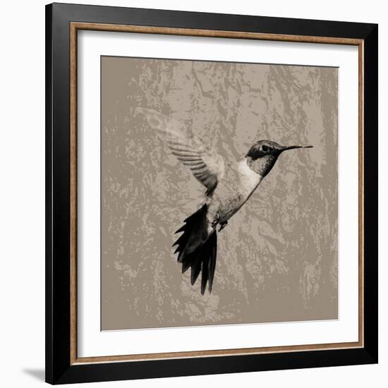 Feathered I-Anna Polanski-Framed Art Print