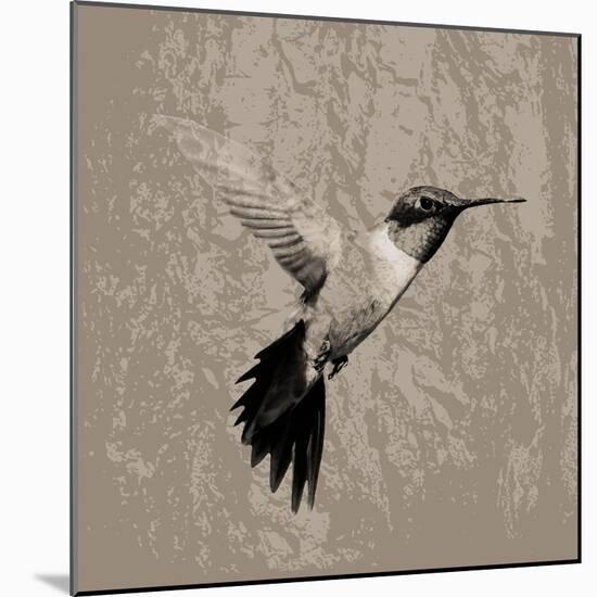 Feathered I-Anna Polanski-Mounted Art Print