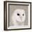 Feathered II-Anna Polanski-Framed Art Print