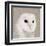 Feathered II-Anna Polanski-Framed Art Print