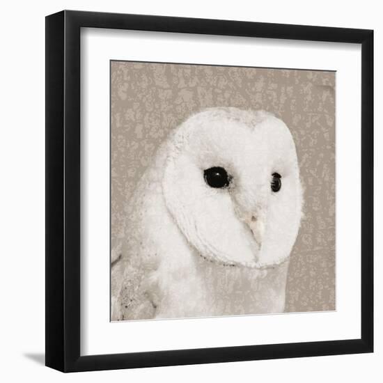 Feathered II-Anna Polanski-Framed Art Print