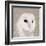 Feathered II-Anna Polanski-Framed Art Print