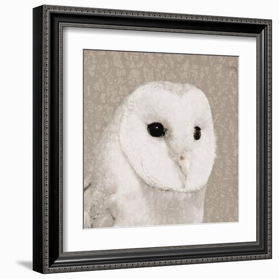 Feathered II-Anna Polanski-Framed Art Print