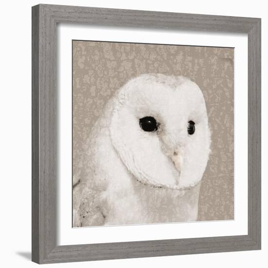 Feathered II-Anna Polanski-Framed Premium Giclee Print