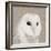 Feathered II-Anna Polanski-Framed Premium Giclee Print