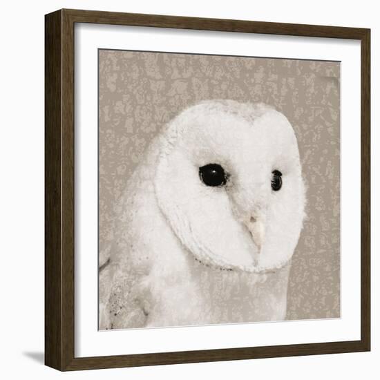 Feathered II-Anna Polanski-Framed Premium Giclee Print