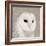 Feathered II-Anna Polanski-Framed Premium Giclee Print