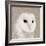 Feathered II-Anna Polanski-Framed Art Print