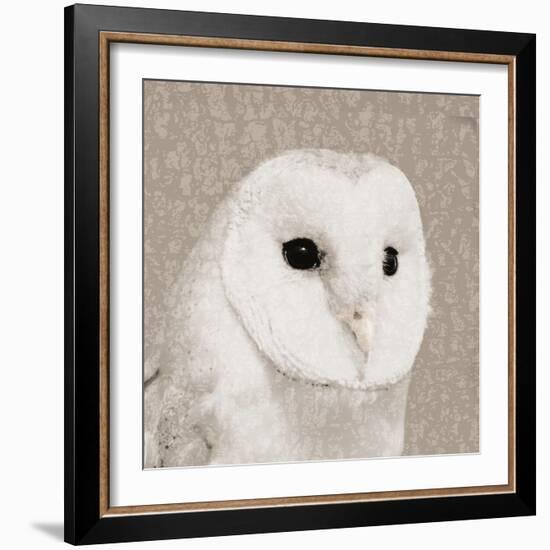 Feathered II-Anna Polanski-Framed Art Print