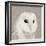 Feathered II-Anna Polanski-Framed Art Print