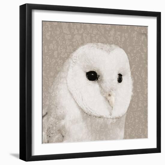 Feathered II-Anna Polanski-Framed Art Print