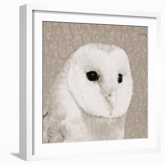 Feathered II-Anna Polanski-Framed Art Print