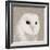 Feathered II-Anna Polanski-Framed Art Print