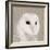 Feathered II-Anna Polanski-Framed Art Print