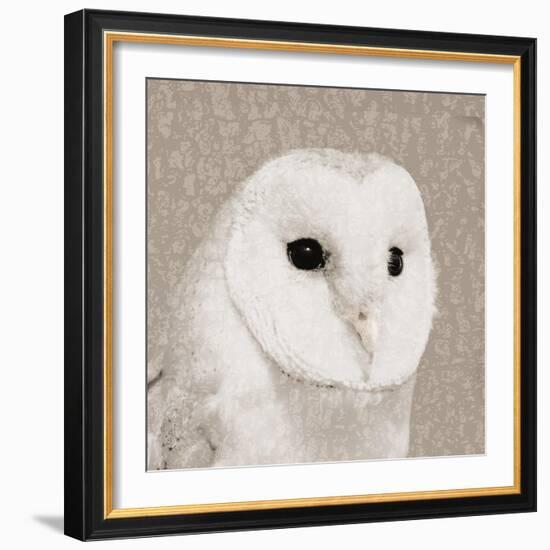 Feathered II-Anna Polanski-Framed Art Print