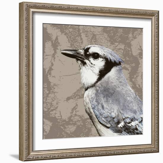 Feathered III-Anna Polanski-Framed Art Print