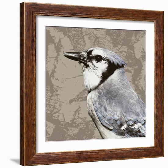 Feathered III-Anna Polanski-Framed Art Print