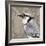 Feathered III-Anna Polanski-Framed Art Print