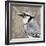 Feathered III-Anna Polanski-Framed Art Print