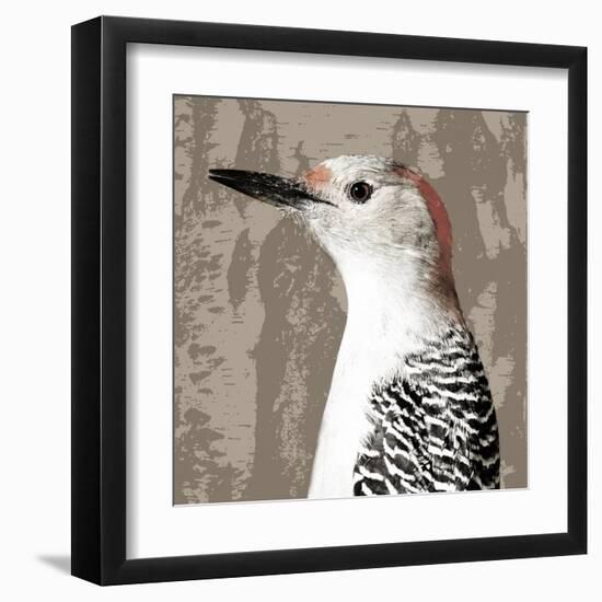 Feathered IV-Anna Polanski-Framed Art Print