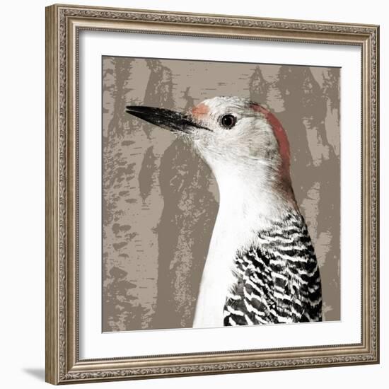 Feathered IV-Anna Polanski-Framed Art Print