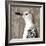 Feathered IV-Anna Polanski-Framed Art Print