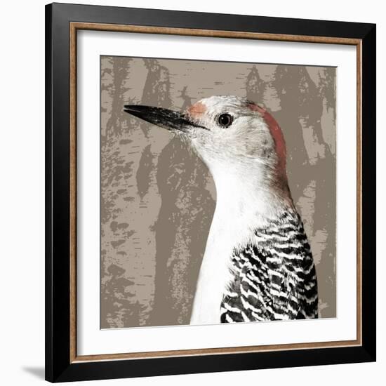 Feathered IV-Anna Polanski-Framed Art Print