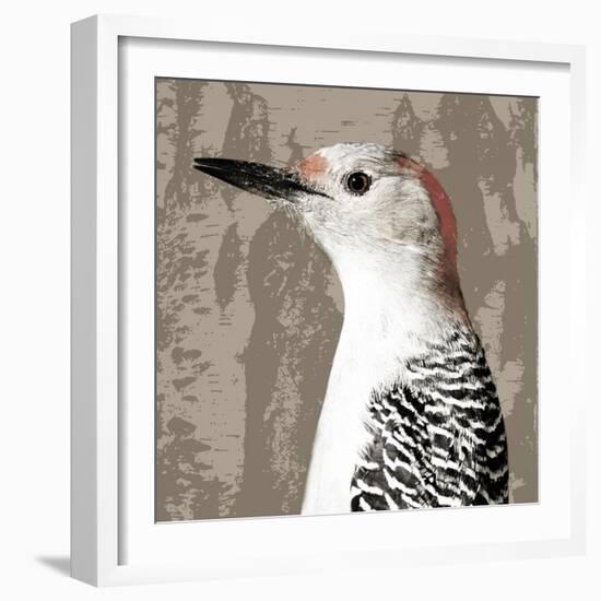 Feathered IV-Anna Polanski-Framed Art Print