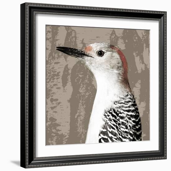 Feathered IV-Anna Polanski-Framed Art Print